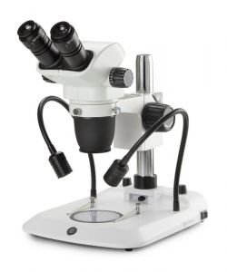 Euromex NexiusZoom EVO Stereo Zoom Microscope With Pillar - Yohmai ...