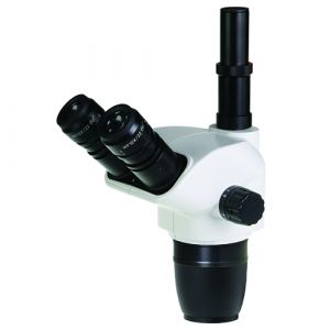 Euromex NexiusZoom Trinocular Microscope Head - Yohmai Marketplace